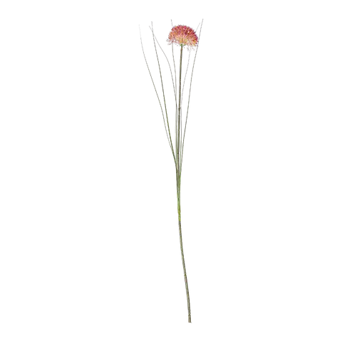fiori finti Allium