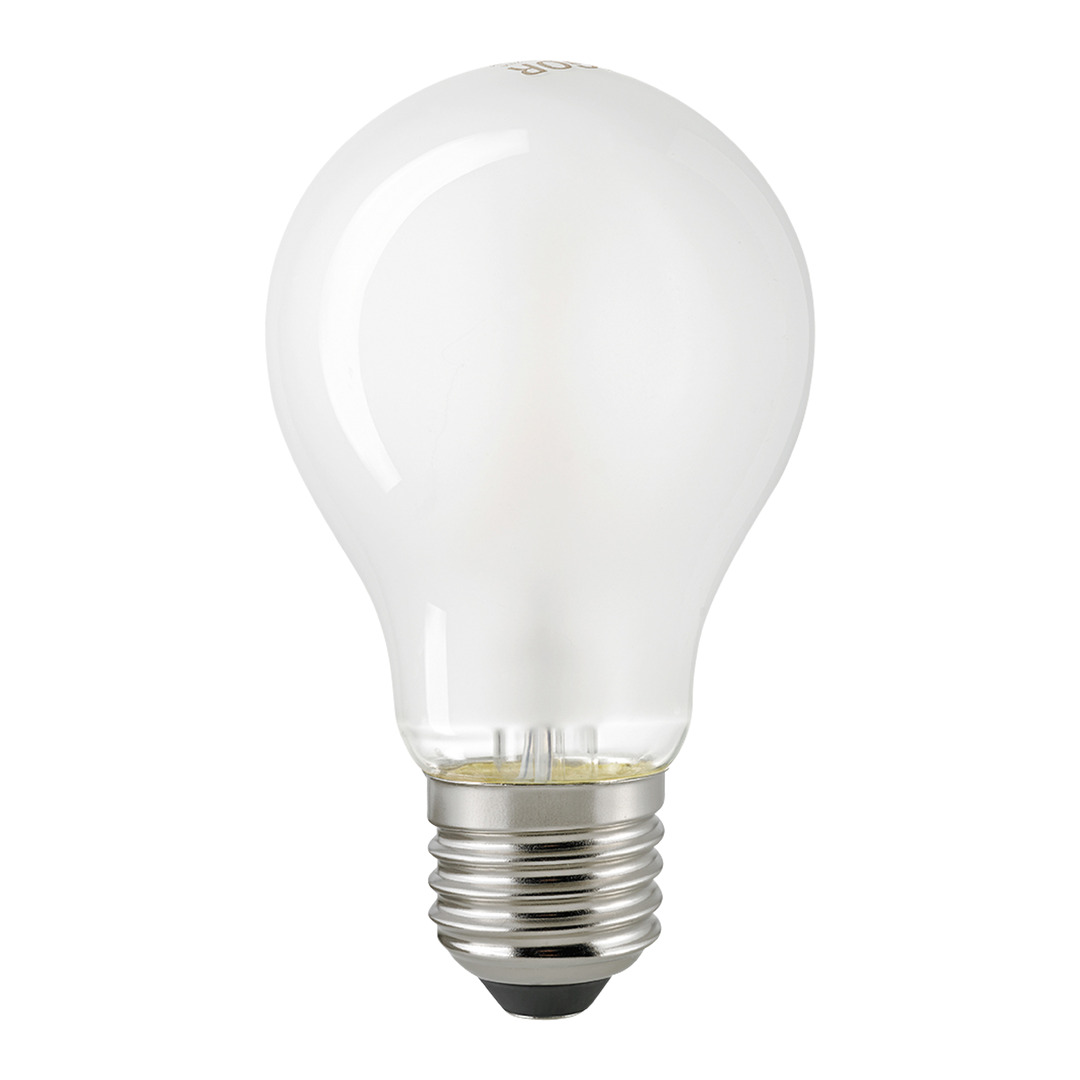 Leuchtmittel E27 Led
