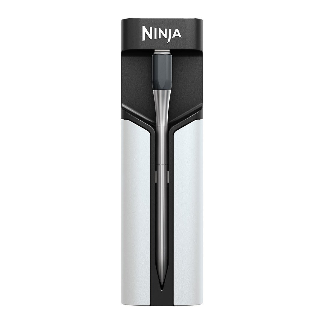 Termometro per carni WP100EU