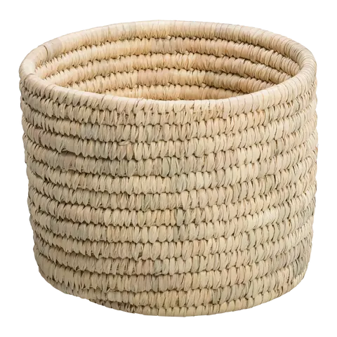cesto Palm