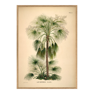 Bild mit Rahmen Botanical