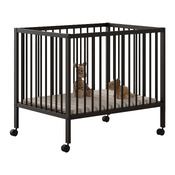 playpen Dino