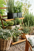pot de jardin Drypot