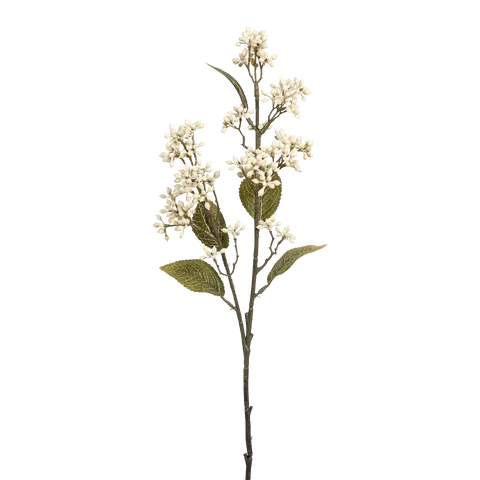 ghirlanda di decorazione Viburnum