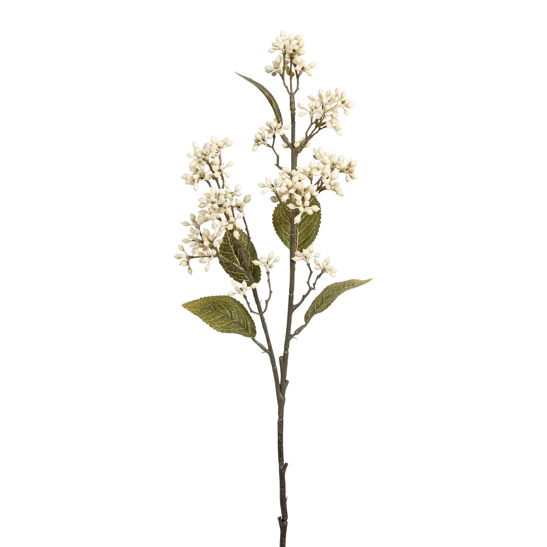 ghirlanda di decorazione Viburnum