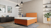 Boxspringbett Elander