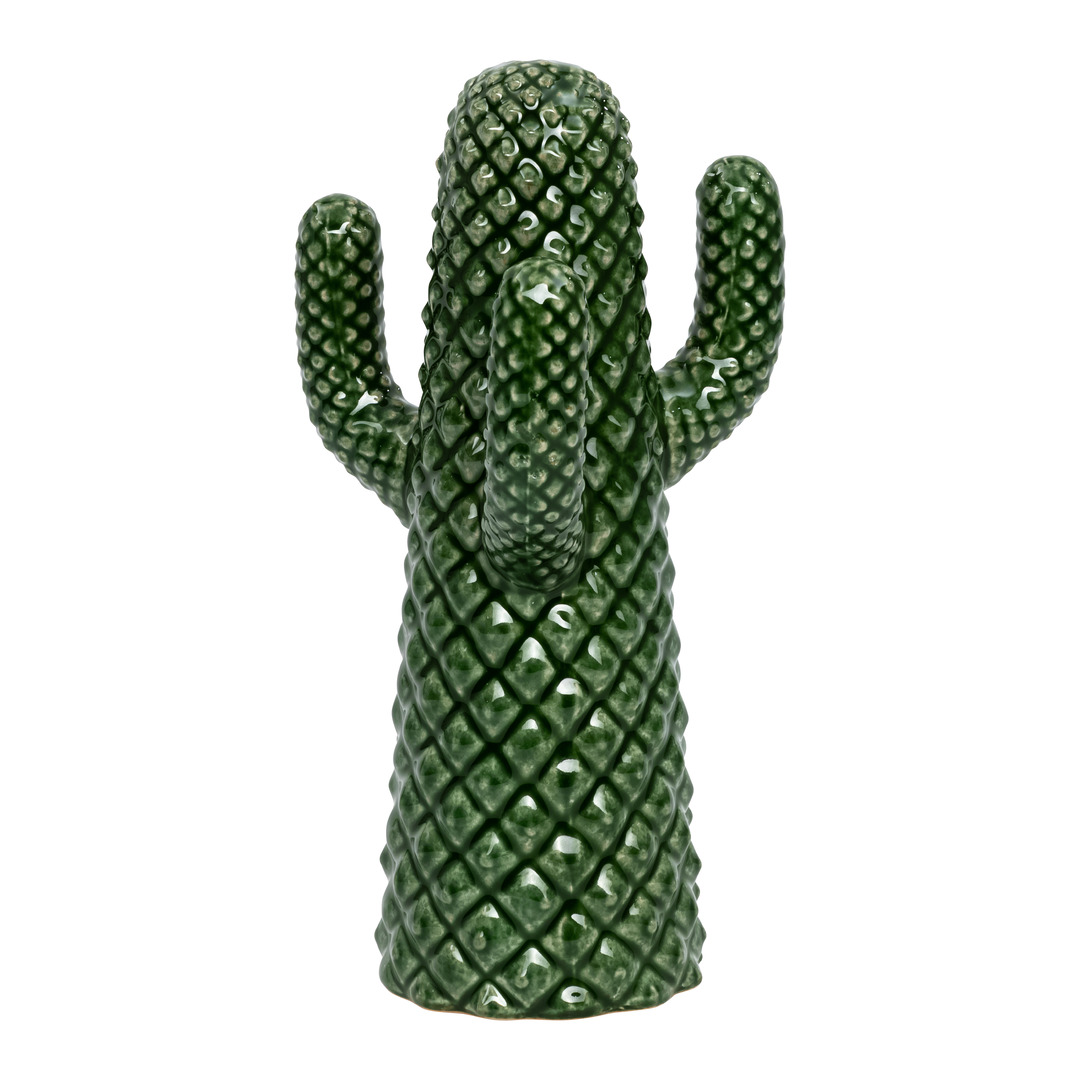 cactus decorativo Cacto