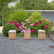 Blumenkasten Lärche