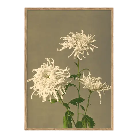 Quadro con cornice Ogawa