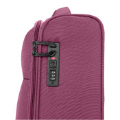 carrello della cabina Easytrip