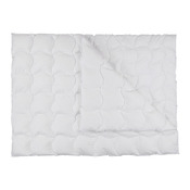 duvet Caro Quattro