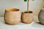 cache-pot Synsia