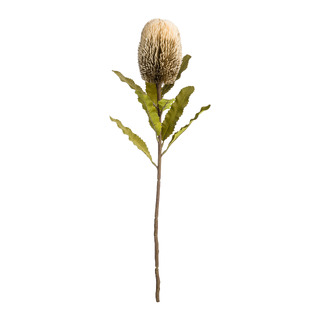 Kunstblume Tulum