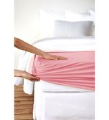 Fixleintuch für Boxspring Feinjersey