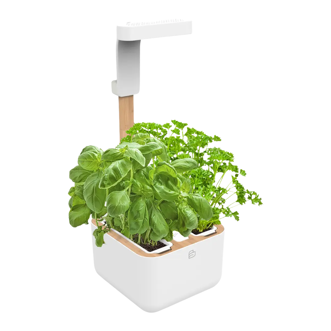 pot pour herbes aromatiques Eylo