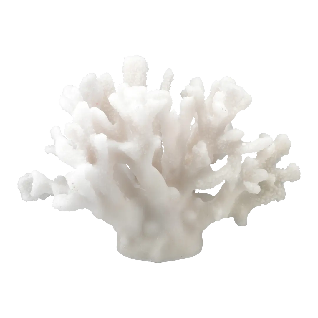 sculture Coral
