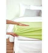 foglio fisso per boxspring Feinjersey
