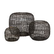photophore WIRE