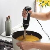 frullatore a immersione CI100CH