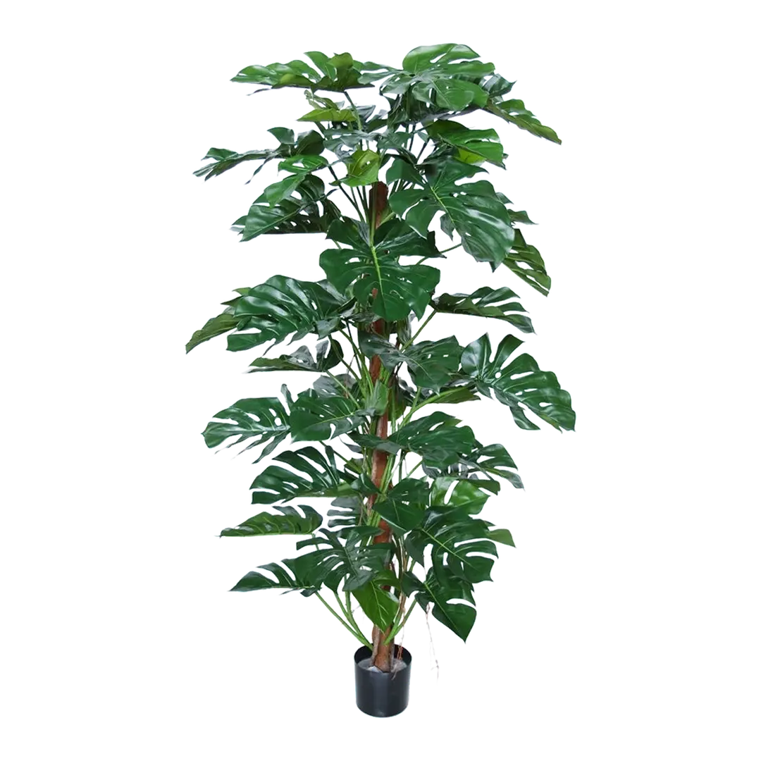 Kunstpflanze Thaumatophyllum
