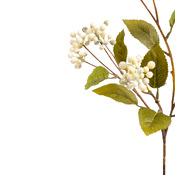 Kunstblume Berry