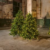 LED-Arbre OUTDOOR LIGHT