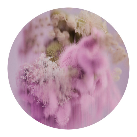 tapis de laine Spring Pollen