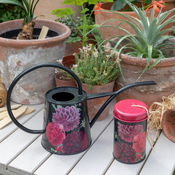 Giesskanne British Bloom