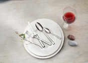 set di posate Victor