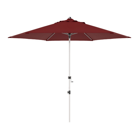 parasol Expert