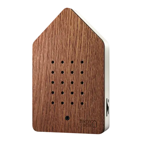 Soundbox Zwitscherbox
