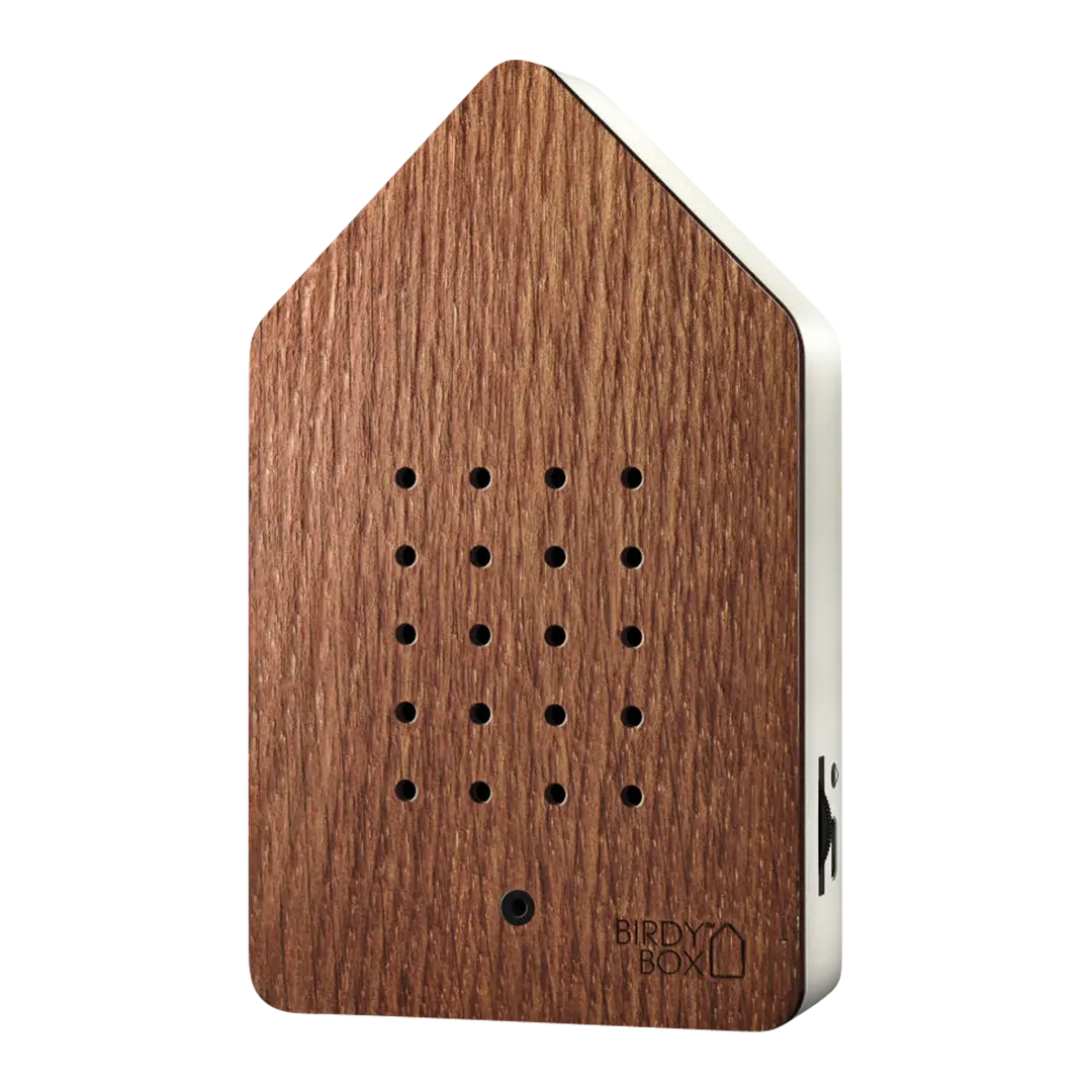 Soundbox Zwitscherbox