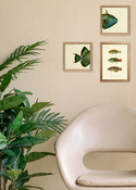 Bild mit Rahmen Botanical