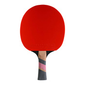 raquettes de ping-pong Excell 3000