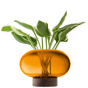 vase décoratif Oblate