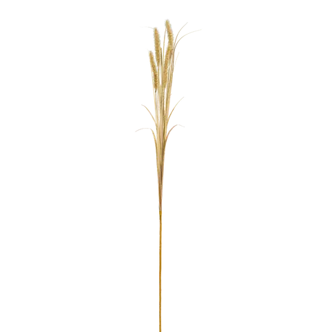 ramo decorativo Dried-Grass