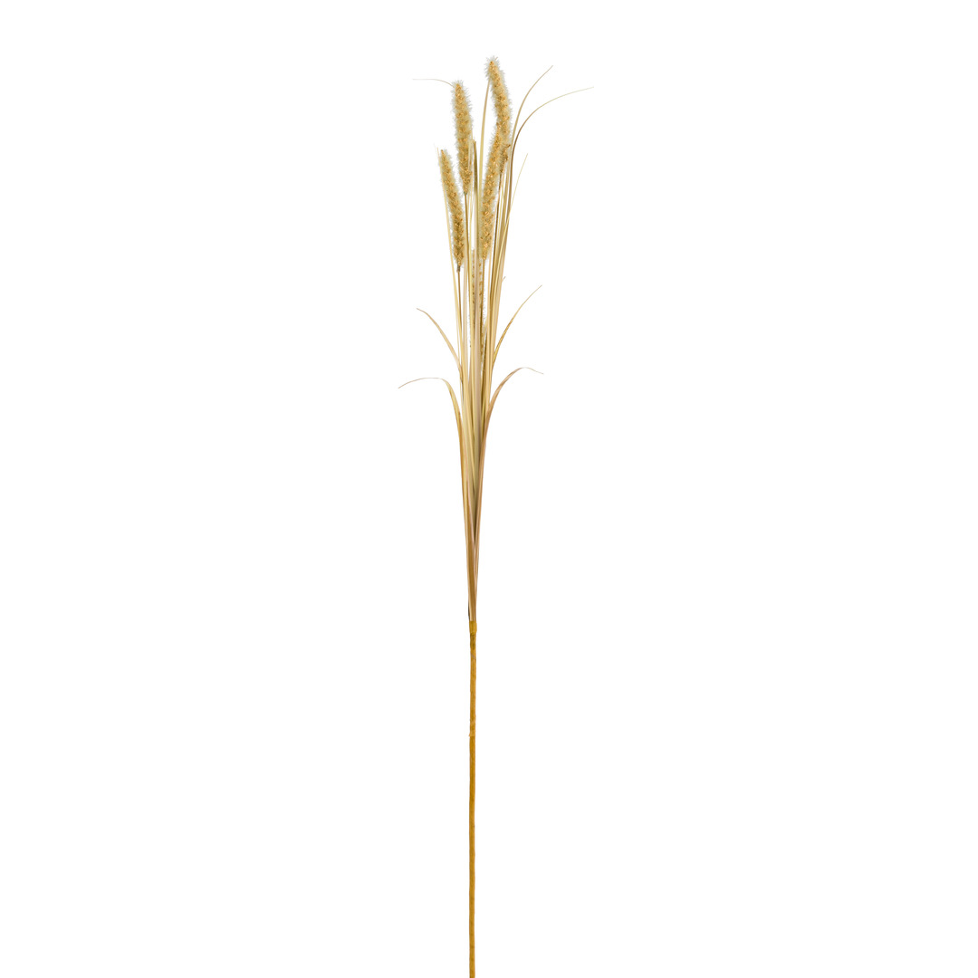 ramo decorativo Dried-Grass