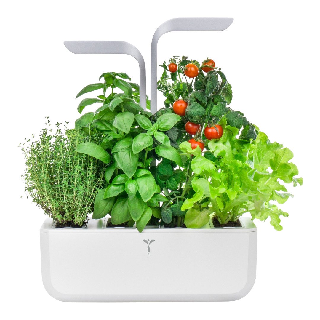 vaso per erbe Smart