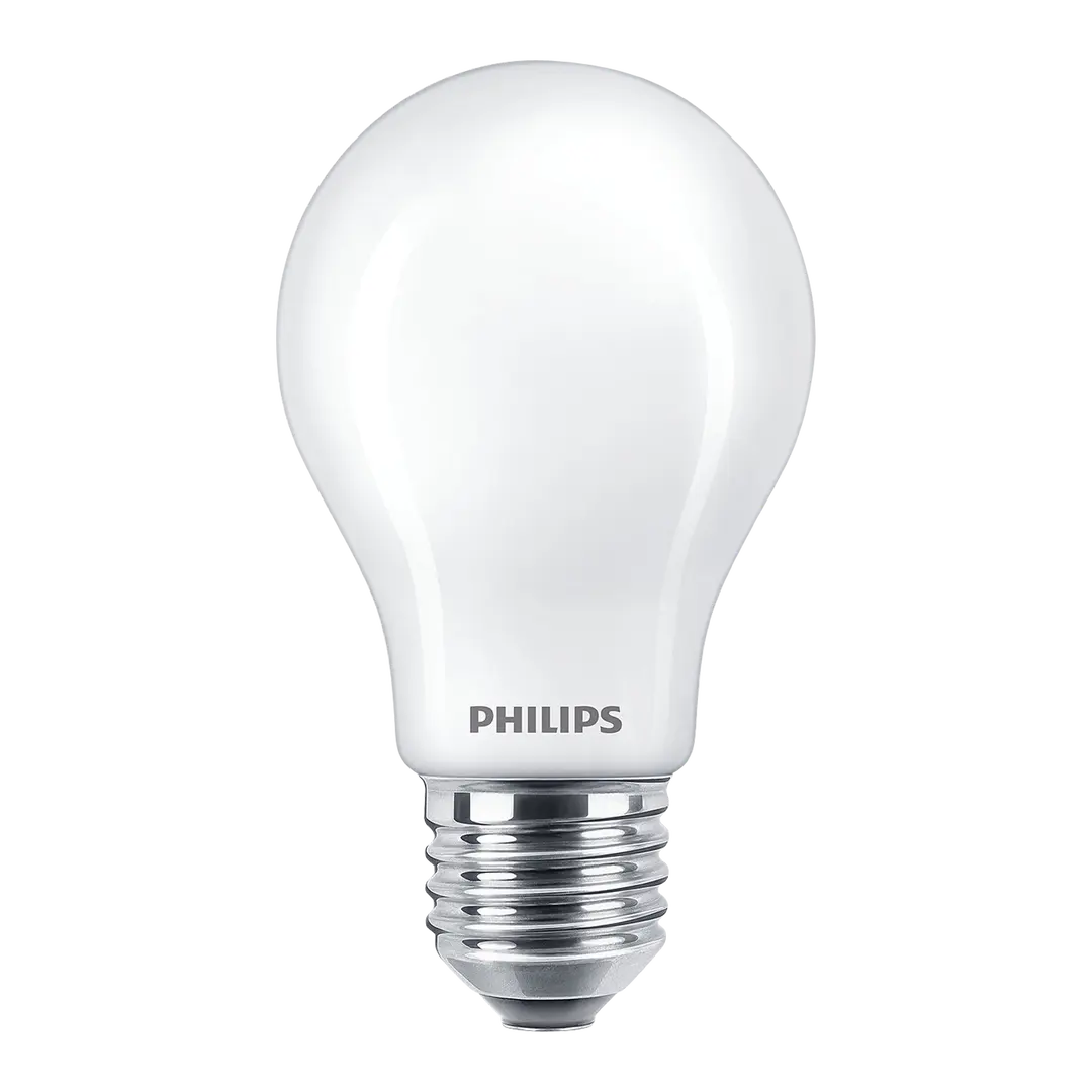 lampadina E27 LED