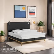 lit boxspring Island-Spring Modern