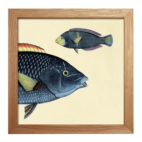 Quadro con cornice BOTANICAL