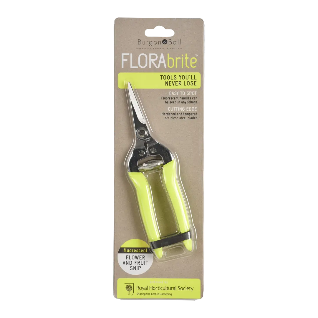 Blumenschere Fluoriszierend