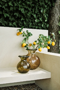 vaso Paradiese