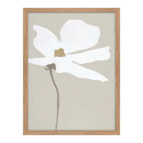 Bild mit Rahmen Artist Collection