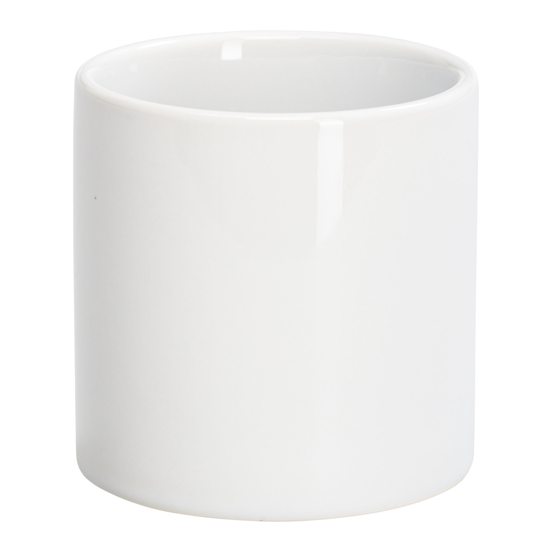 verres à dents Pablo