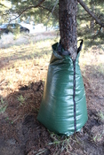 Bewässerungssack Tree Feeder