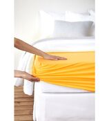 foglio fisso per boxspring Feinjersey