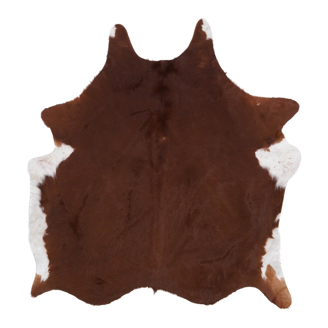pelle di mucca Brasil