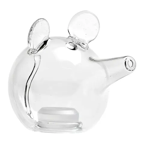 saliera MOUSE
