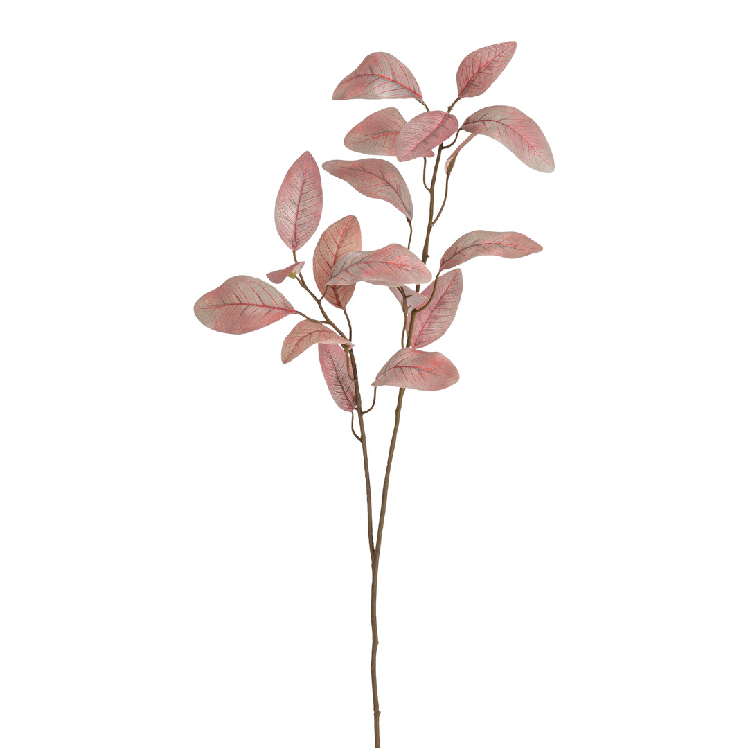 branche décorative Eukalypa